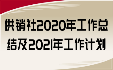 N2020깤Y(ji)2021깤Ӌ(j)