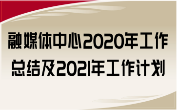 ýw2020깤Y(ji)2021깤Ӌ