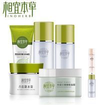 供应大连神庙丝蒂其化妆品批发 化妆品代理招商_精细化学品